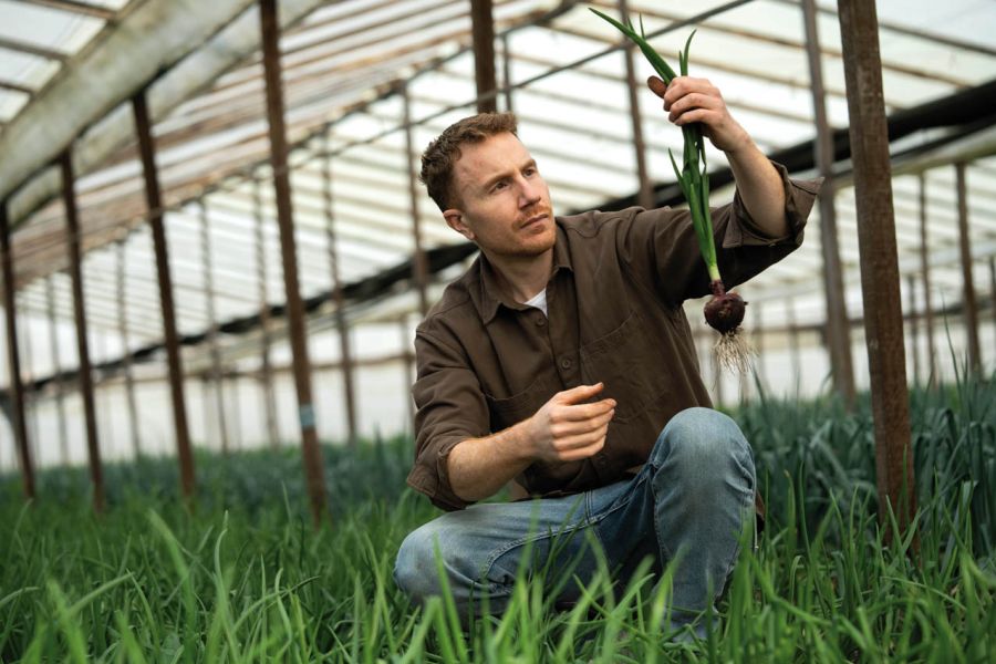 Cocina viva de Pablo Cerne