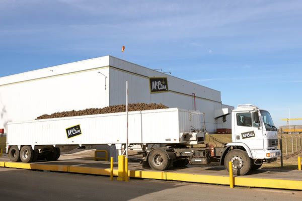 McCain cumple 30 años en la Argentina y proyecta inversiones por u$s 100 M en 5 años. 