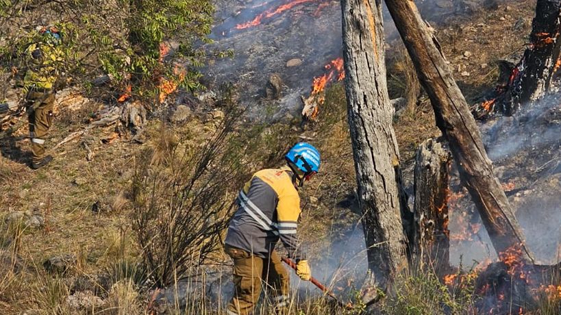 Trabajo de bomberos en Pastizales