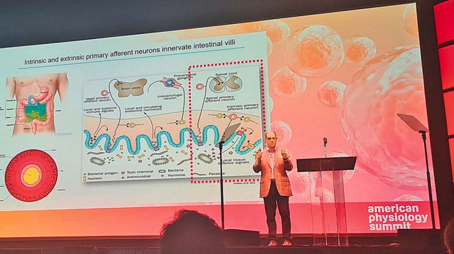 David Julius, en Periodismo Puro con Jorge Fontevecchia.
