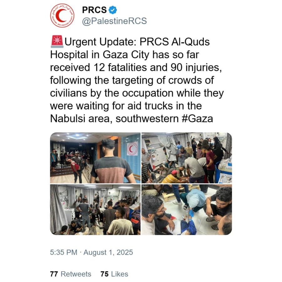 La Cruz Roja denunció que el ejército israelí disparó contra civiles