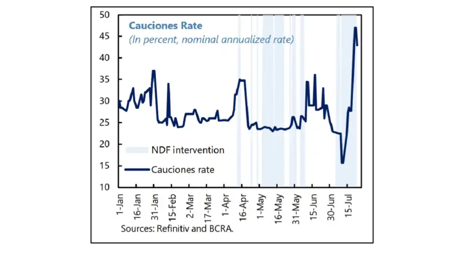 FMI dólar futuro