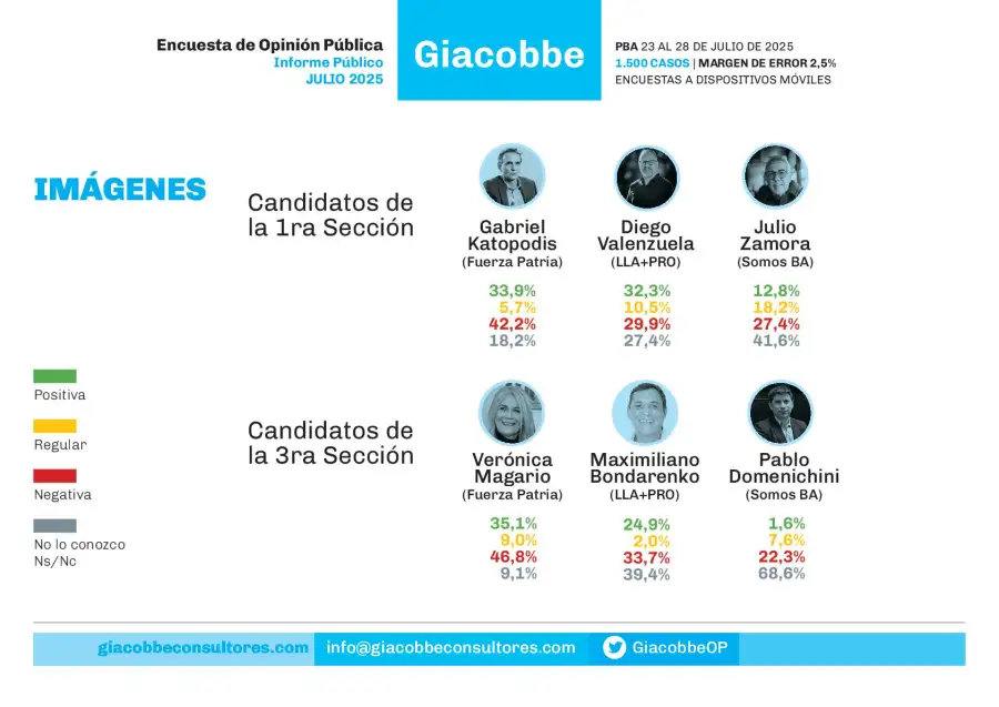 Encuesta de Giacobbe & Asociados - Julio 2025