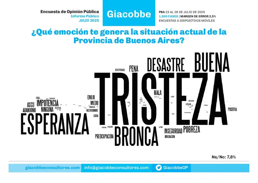 Encuesta de Giacobbe & Asociados - Julio 2025