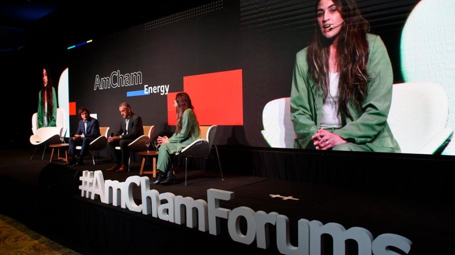 Foro Amcham Vaca muerta 05082025