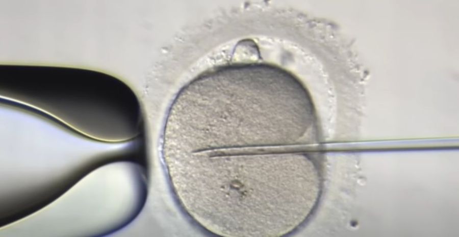 el bebé más viejo del mundo