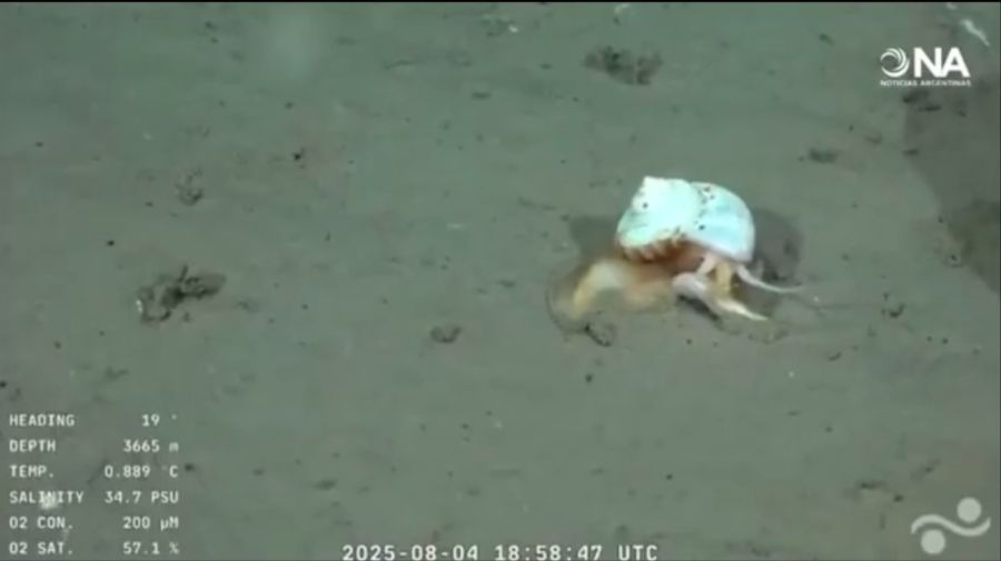 EXPEDICION MDQ CONICET