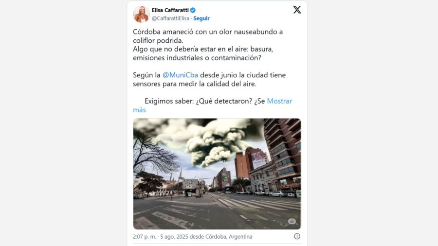 Posteo de Elisa Caffaratti