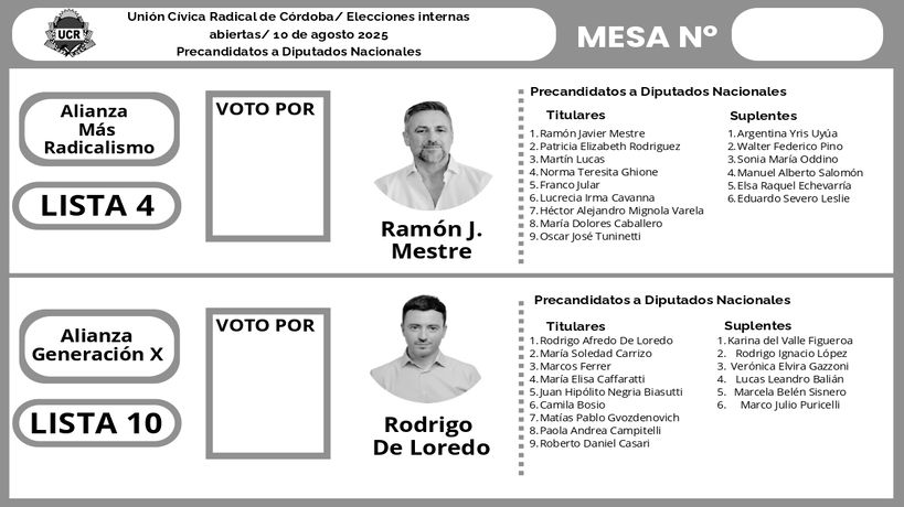Boleta Única para la interna UCR 
