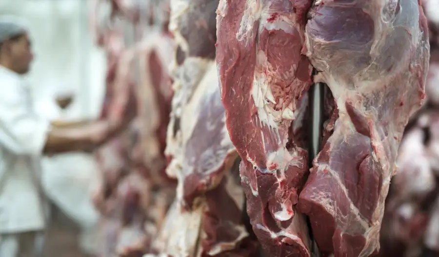 Chile suspende la importación de carne de la Patagonia argentina
