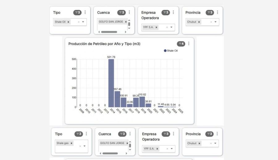 Pan American Energy 10082025