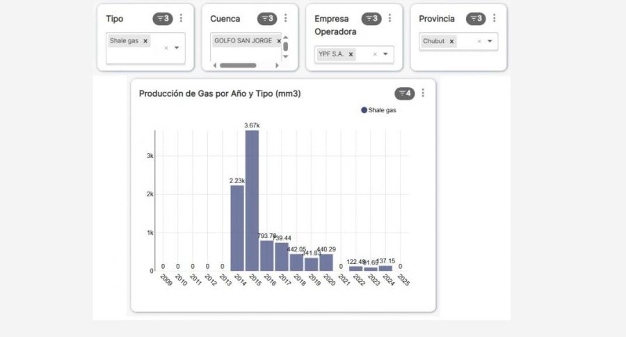 Pan American Energy 10082025