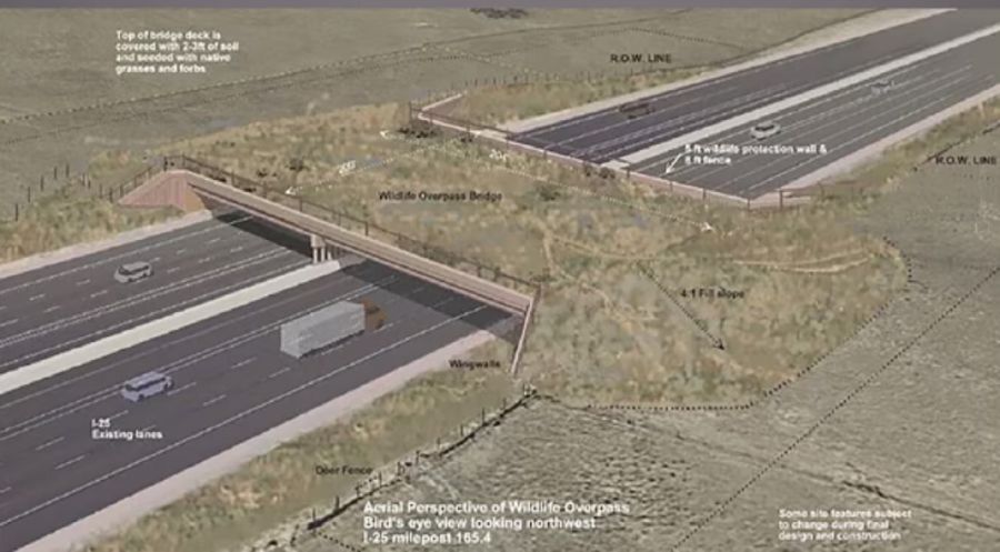 1108_puente colorado