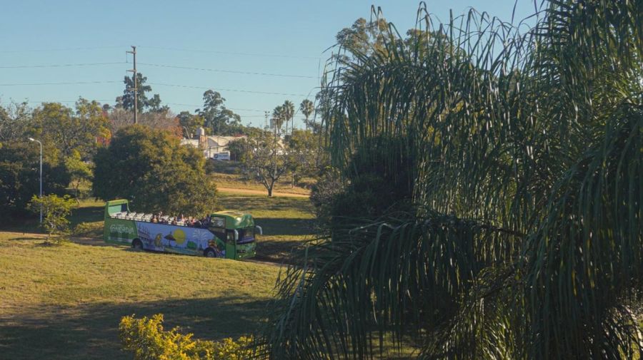 Concordia combina movimiento, historia, sabores y naturaleza 11082025