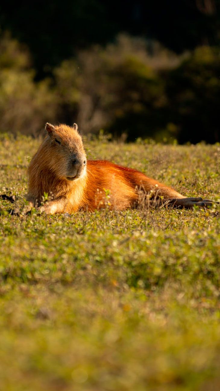 Concordia combina movimiento, historia, sabores y naturaleza 11082025
