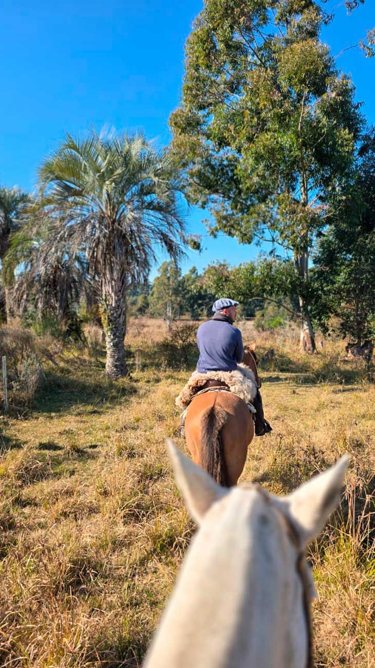 Concordia combina movimiento, historia, sabores y naturaleza 11082025