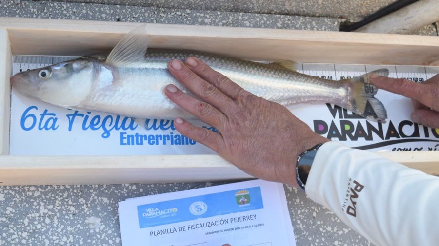 1308_villaparanacito