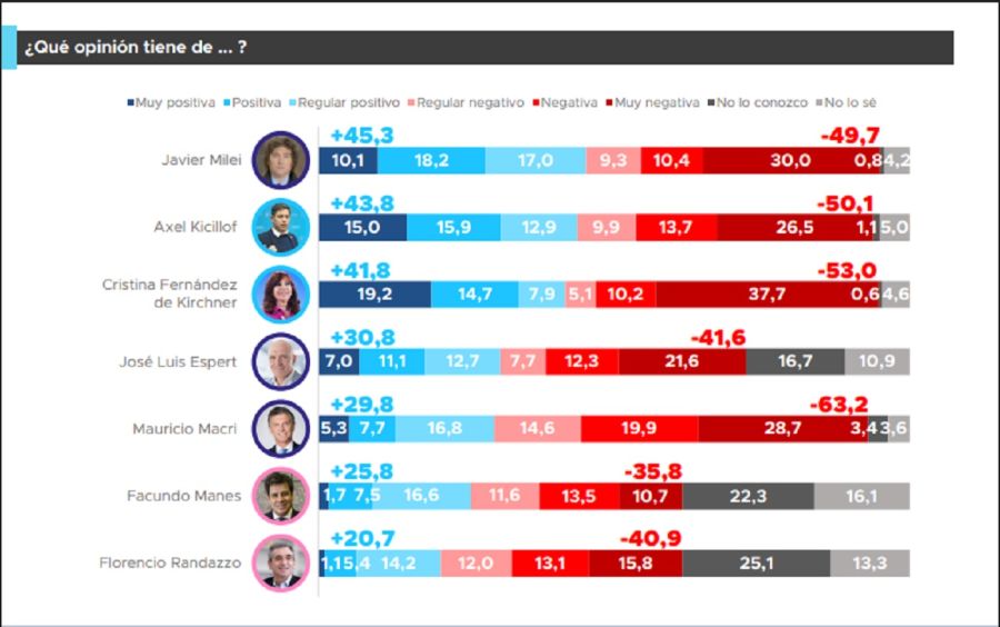 Encuesta Provincia de Buenos Aires 2025