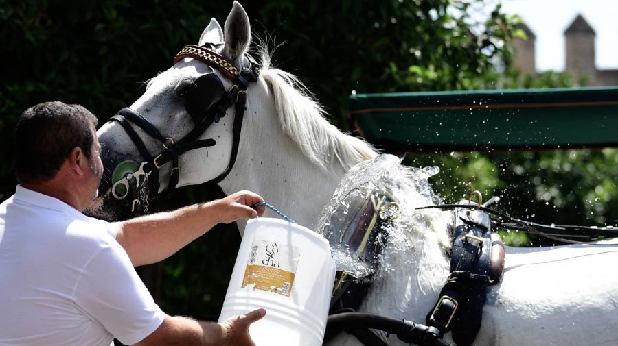 ola de calor en europa 12082025
