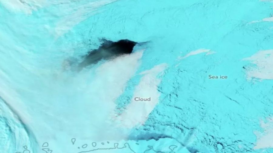 Polinia de Maud Rise