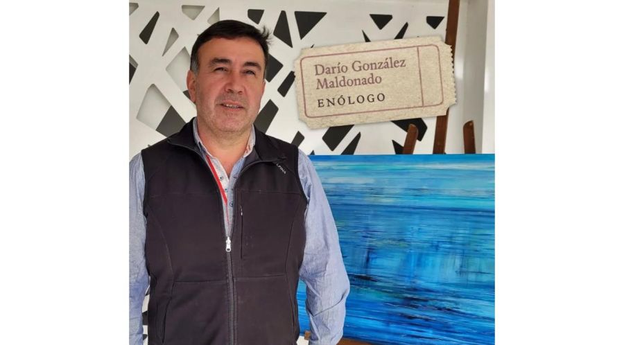 Bodega Ayestarán Allard: innovación con alma patagónica
