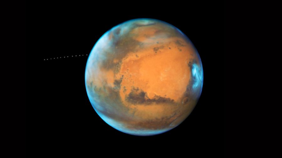 Coral en Marte 14082025