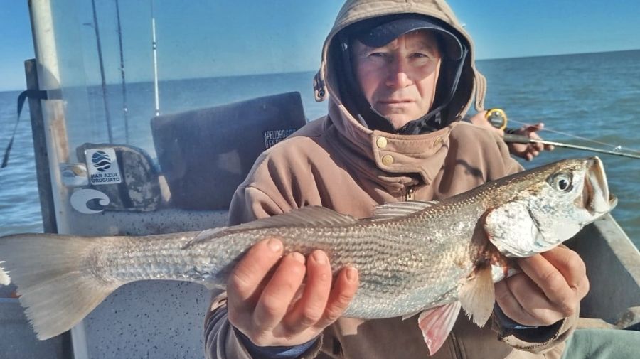 15_08_mapa_pique_pesca