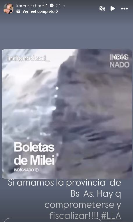 Instagram de Karen Reichardt apoyando a La Libertad Avanza