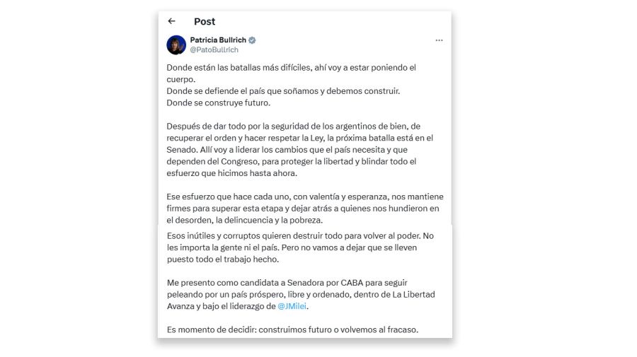 Tweet patricia bullrich 15082025