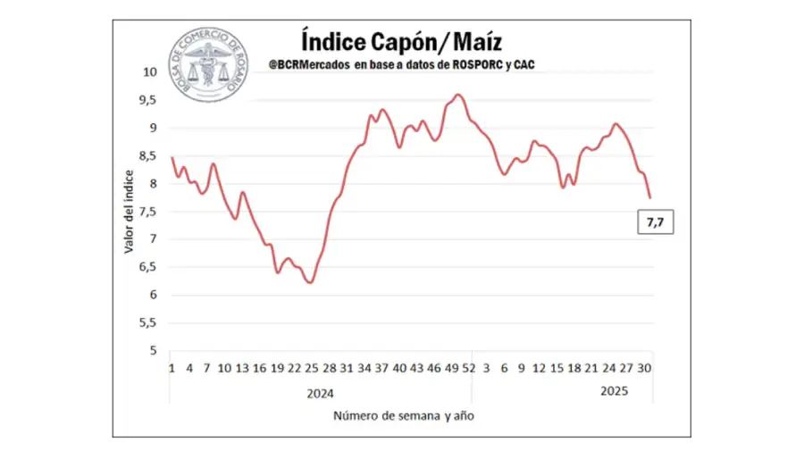 Relación insumo-producto mercado porcino 19082025
