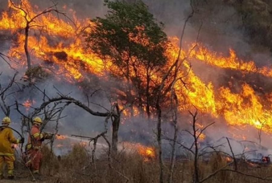 2008_incendios patagonia