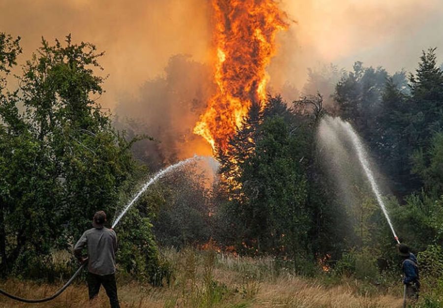 2008_incendios patagonia