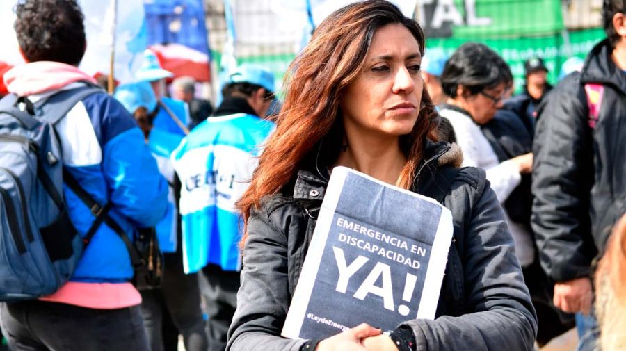 Congreso Veto Discapacidad 20082025