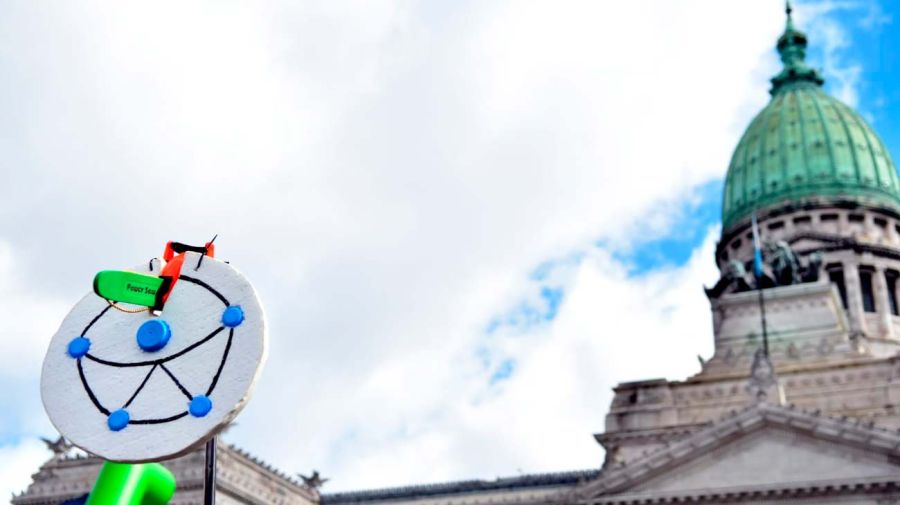 Congreso Veto Discapacidad 20082025