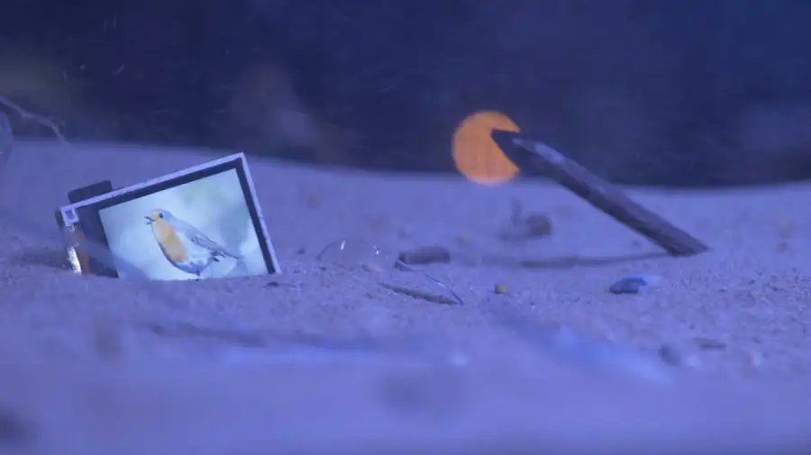 El cielo cayendo Sebastián Diaz Morales 20250820