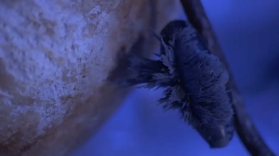 El cielo cayendo Sebastián Diaz Morales 20250820