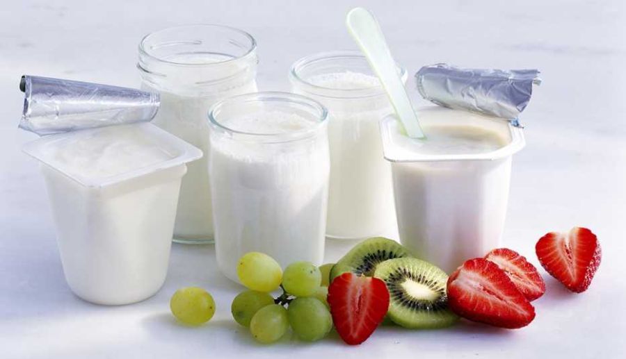 Yogurt 20-8