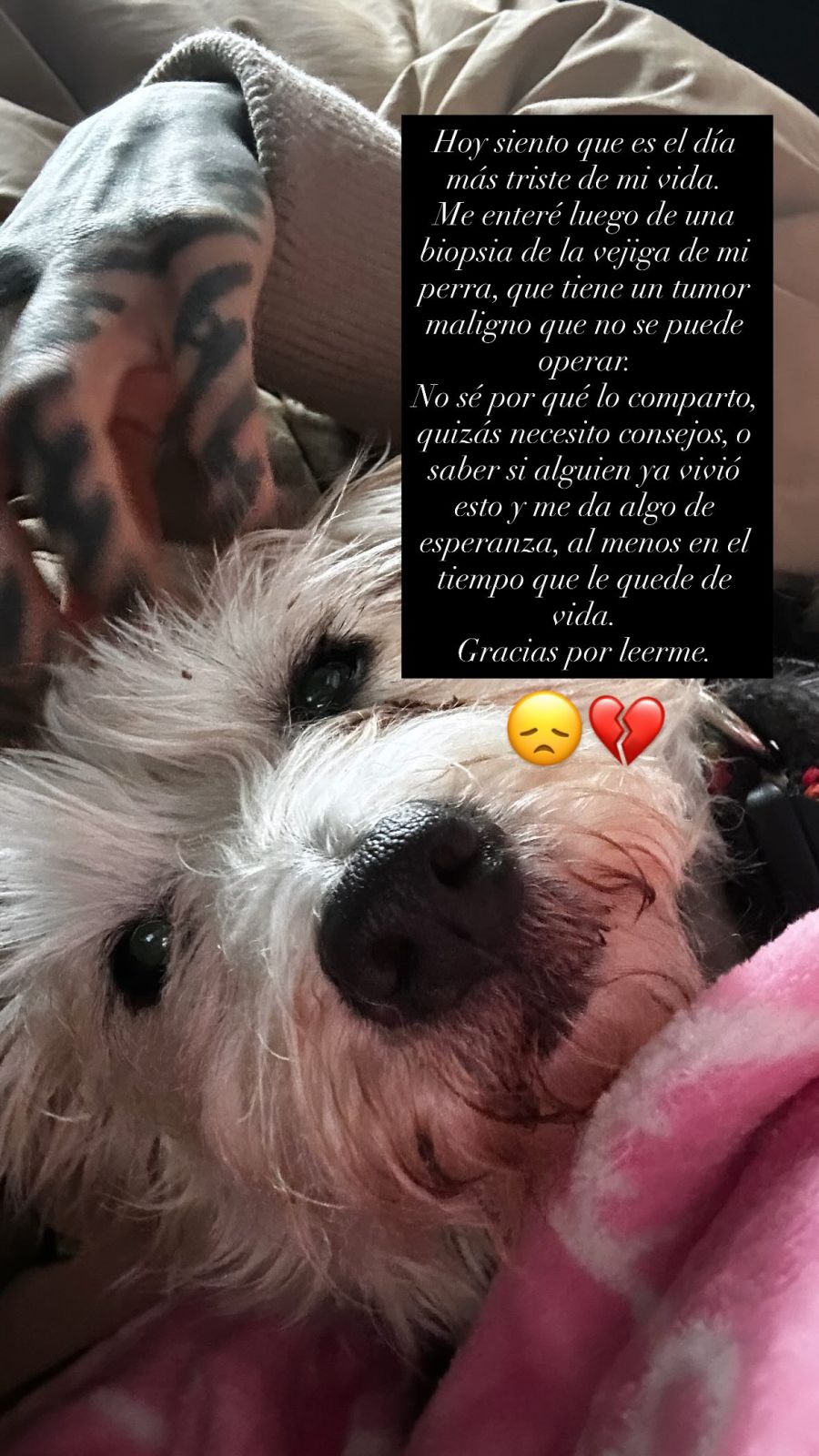Cande Tinelli