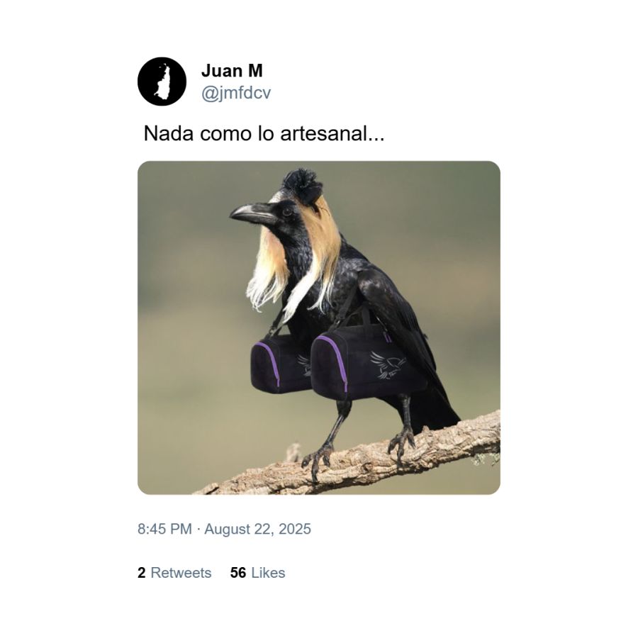 Meme contra Karina Milei 6