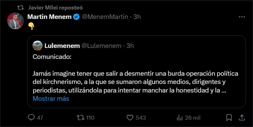 Lule Menem comunicado ANDIS 20250825