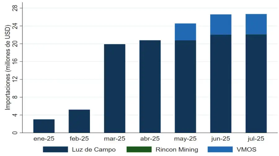 Importaciones de los proyectos del RIGI 20250826