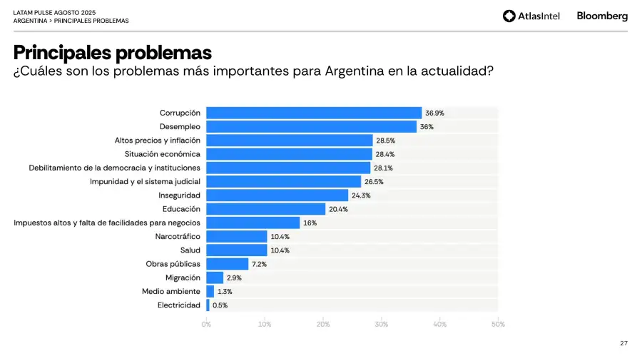 Foto encuesta Milei 4