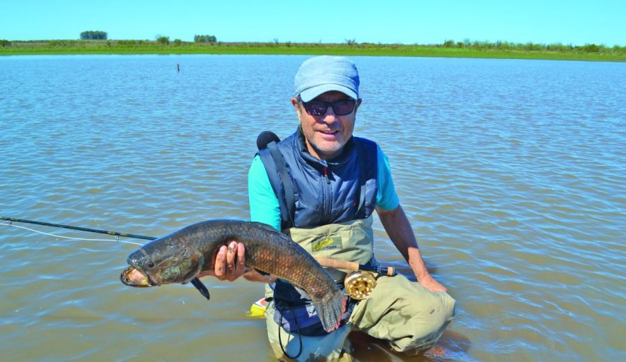 0829_contenidoseptiembre