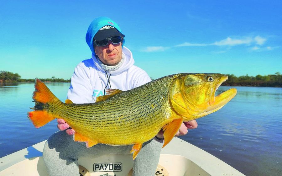 0829_contenidoseptiembre