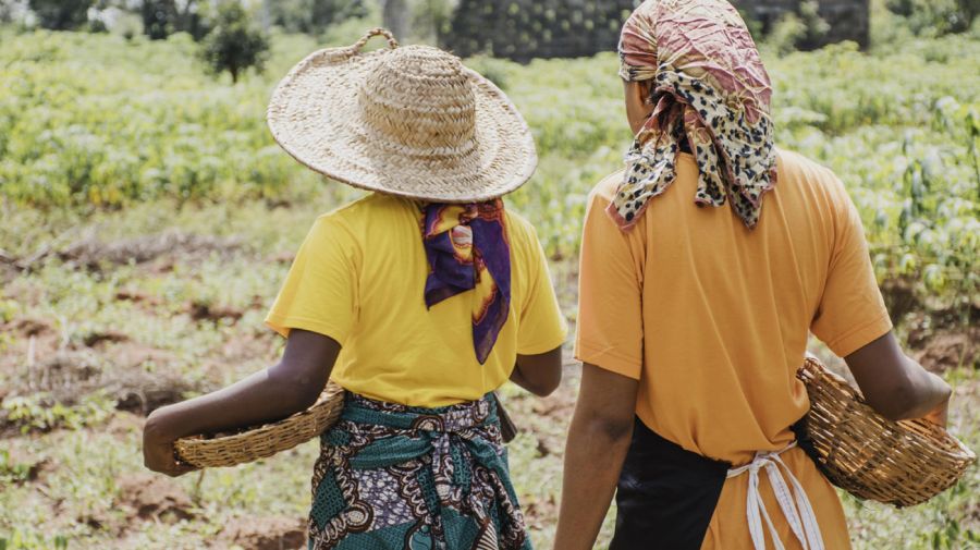 Agricultores y cultivos en el continente africano 29082025