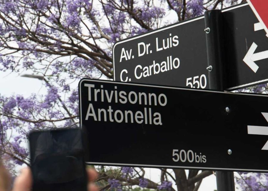 Diá del Donante de órganos: la historia de Antonella Trivisonno 20250829