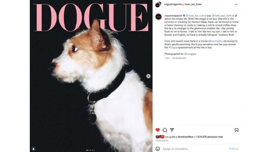 Hank para Dogue de Vogue