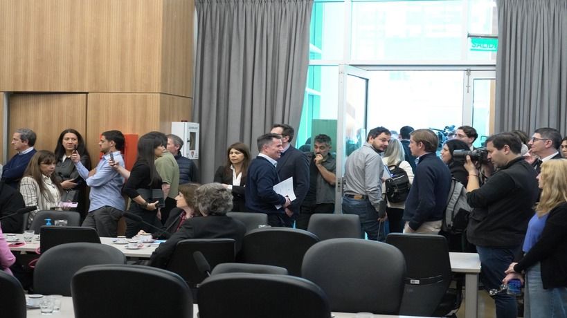 Comisión Libra en Diputados 