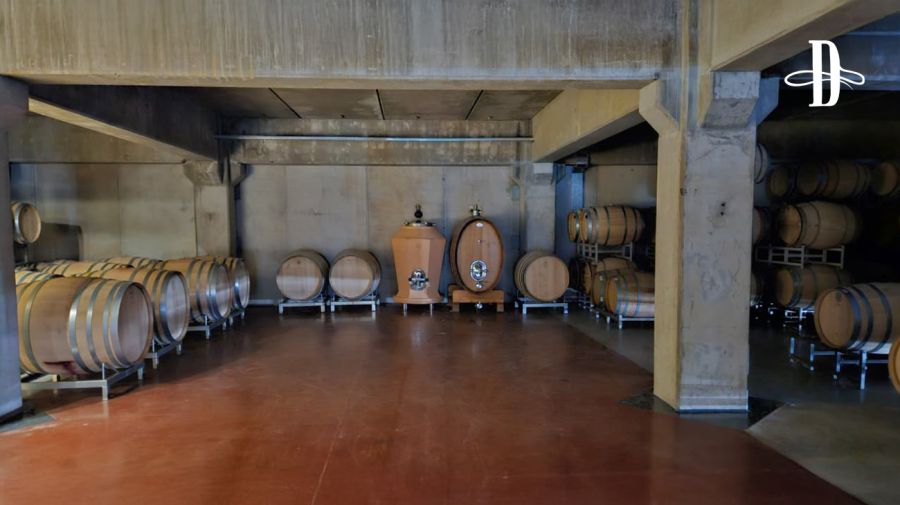 Bodega Canto en Delirio