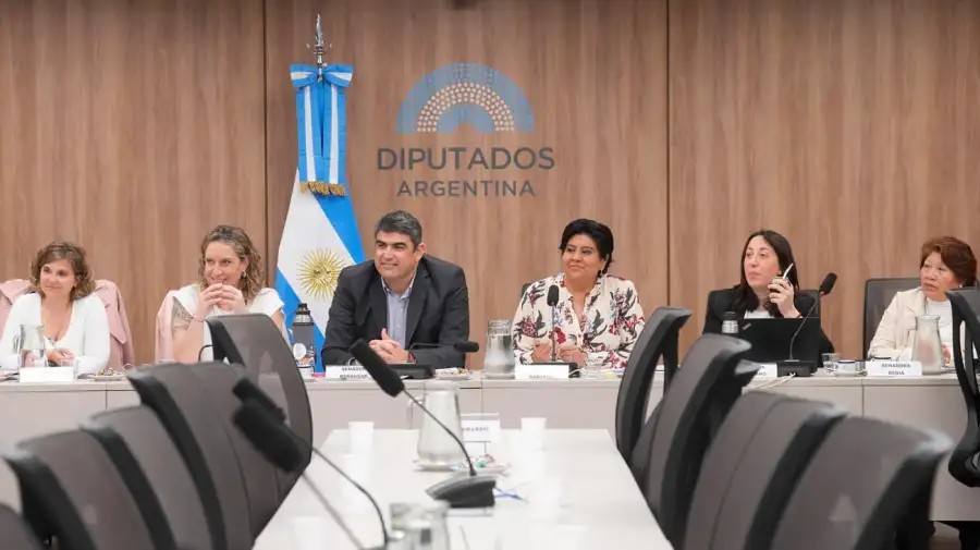 Audiencia definición Defensor del niño 03092025